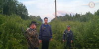В медицинской помощи найденный спасателями мужчина не нуждался. - Новгородские Ведомости