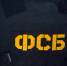 УФСБ: брянского экстремиста осудили за призывы к свержению власти в сети - БрянскToday.Ru
