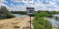 В Кургане следователями выясняются обстоятельства гибели  мужчины во время купания - Следственный комитет