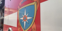 В Самарской области в пожаре погибла женщина - SamaraGIS.Ru