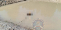 Спасатели извлекли тело утонувшего мужчины из водоема в Киришском районе - ЛенТВ24