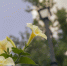 Фото: ПАИ - InformPskov.Ru