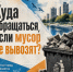 Контейнеры переполнены? Разбираемся, кто отвечает за чистоту и куда обращаться - Сеченовский муниципальный округ