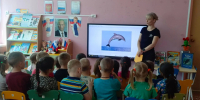 «Киты и дельфины: Символы чистоты океана» – экологическую беседу провела Анна Чижикова, заведующая Любанской сельской библиотекой. - Межпоселенческая ЦБС