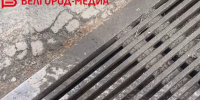Сотрудники Белгорблагоустройства продолжают поддерживать чистоту в городе - Belnovosti.Ru
