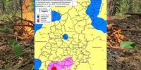 Сводка пожароопасности на 10.07.2026 - Министерство лесного хозяйства