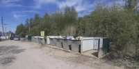 Новые контейнерные площадки и борьба с нарушениями: как наводят порядок в сфере ТКО - Teleport2001.Ru