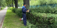 / - Выборгский район
