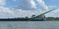 Для изучения запасов донных рыб в Азовском море арендуют судно почти за 8 млн рублей - DonDay.Ru