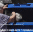 Как общие усилия помогают поддерживать порядок на площадках - Bnkirov.Ru