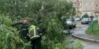 Устранение последствий грозового фронта в Костроме ведется в усиленном режиме - Город Кострома