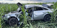 Воронежец на Audi вылетел в кукурузное поле: погиб 36-летний пассажир - РИА Воронеж