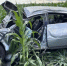 Воронежец на Audi вылетел в кукурузное поле: погиб 36-летний пассажир - РИА Воронеж - Лиски