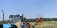Аграрии Томской области заготовили четверть планового объема кормов - Администрация Томской области