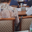 You are viewing the image with filename 1.jpeg - Ярославская ГСХА