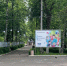 В парке «Аполло» Кирова отремонтирована лестница - Кировская правда