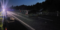 Под Великим Новгородом лось учинил автоаварию с участием двух человек - Газета Новгород