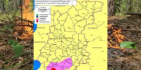 Сводка пожароопасности на 11.07.2026 - Министерство лесного хозяйства