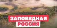 Заповедники России ждут вас - Абдулинский городской округ