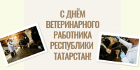 С днем ветеринарного работника Республики Татарстан! - Главное управление ветеринарии