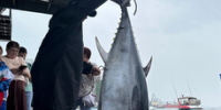В День рыбака во Владивостоке поймали 86-килограммового тунца - NewsVl.Ru