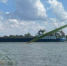 Для изучения донных рыб в Азовском море арендуют судно за 8 млн рублей - Azov.DonDay.Ru