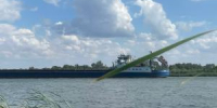 Для изучения донных рыб в Азовском море арендуют судно за 8 млн рублей - Azov.DonDay.Ru