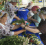 Фестиваль белорусской народной культуры "Купальские зорьки" - Aromashevo.Online