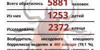 Бугульминский район Татарстана — в числе лидеров по числу укусов клещей в Татарстане - Бугульминская газета