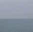 d3pzm2arnb388i98z2ylgvg8w2f4lepy.jpg - Primorye24.Ru