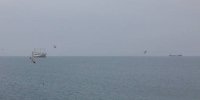 d3pzm2arnb388i98z2ylgvg8w2f4lepy.jpg - Primorye24.Ru