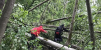 В Калужской области грибник заблудился в лесу - Калужский перекрёсток