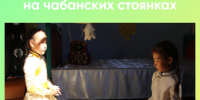 Для безопасности детей: каникулы на чабанских стоянках - Министерство сельского хозяйства