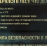 Памятка по безопасности в лесу. - Город Шарыпово