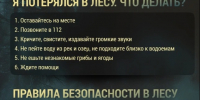 Памятка по безопасности в лесу. - Город Шарыпово