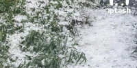 Зима в июле: Татарстан завалило крупным градом - ТРК Татарстан-Новый век