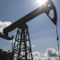 В Новосибирской области хотят возобновить разведку и добычу нефти - Сибирский репортер