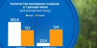 Рекордная декада: первая половина июля в Благовещенске вошла в тройку самых дождливых за полвека - ГТРК Амур