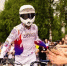 Более 3000 зрителей пришли на мотофристайл-шоу команды FMX13 в Лобне - РТВ-Подмосковье