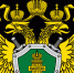Прокуратура Новгородского района добилась компенсации морального вреда подростку, пострадавшему в результате избиения. - Администрация Старорусского района