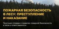 Берегите лес от пожаров! - Газета Вохомская правда