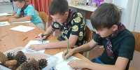 Реализация дополнительной общеобразовательной программы «ЭКО-ШАГИ» стартовала в Апшеронском лесхоз-техникуме - Газета Апшеронский рабочий