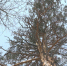6 copy copy copy 1326x746 copy copy - ГТРК