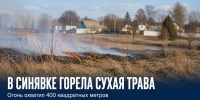 В Синявке загорелась сухая трава на площади 400 квадратных метров - Газета Задонская правда