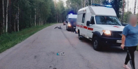 В Гусь-Хрустальном местный житель заключен под стражу в связи с совершением в состоянии опьянения ДТП, в котором погиб несовершеннолетний - Следственный комитет