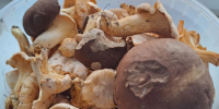 Калуга-поиск - Kaluga-Poisk.Ru