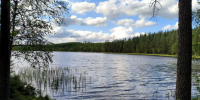 Во время купания травмировались двое подростков в Ленобласти - 47 новостей