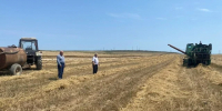 В Каякентском районе приступили к уборке озимых зерновых культур - РИА Дагестан