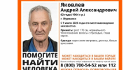 Мурманские волонтеры просят помочь найти пропавшего пенсионера - Вечерний Мурманск