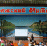 "Ростелеком" провел цифровой ликбез в самарском лагере "Волжский Артек" - Волга Ньюс Тольятти